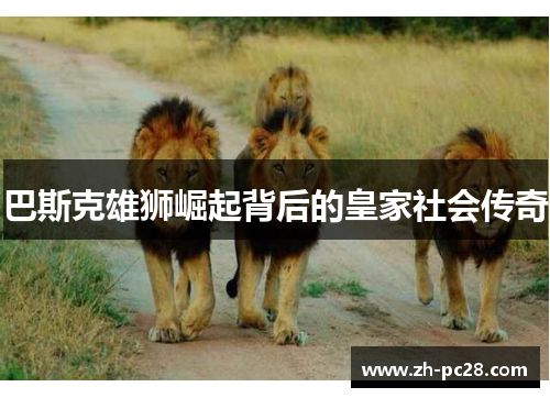 巴斯克雄狮崛起背后的皇家社会传奇